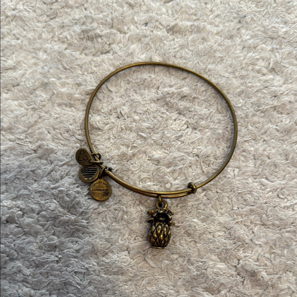 Alex and Ani Pineapple Gold Charm Bangle